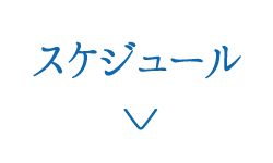 スケジュール