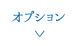 オプション