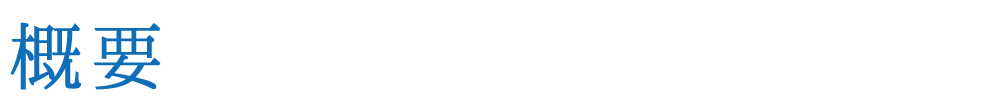 概要