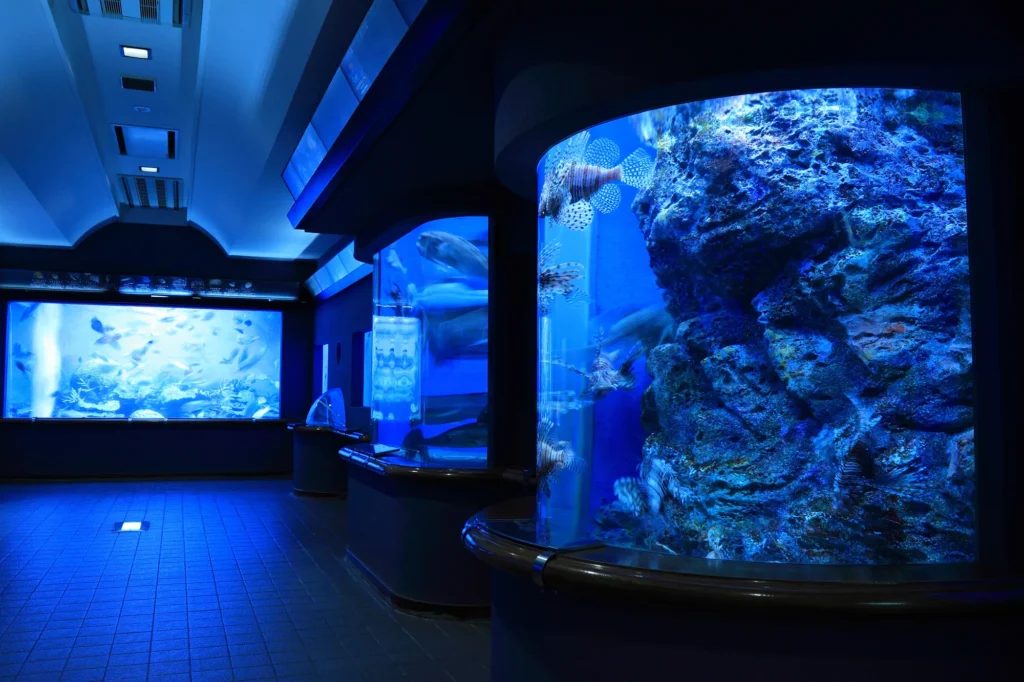 渋川マリン水族館